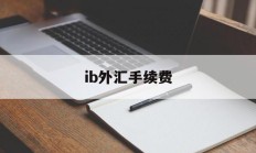 ib外汇手续费(外汇ib业务合法吗)