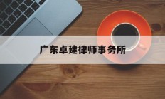 广东卓建律师事务所(广东卓建律师事务所主任)