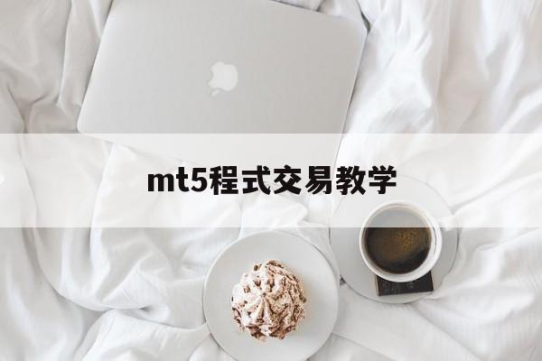 mt5程式交易教学(mt5成交量怎么设置)